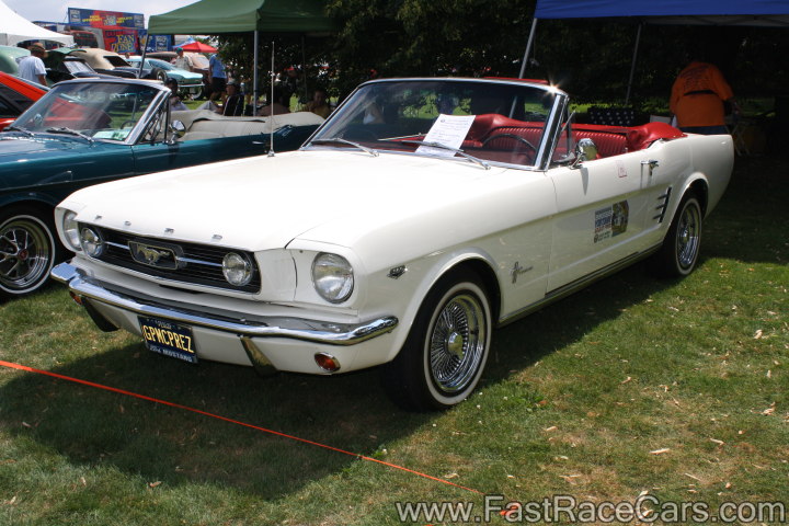 Mustang